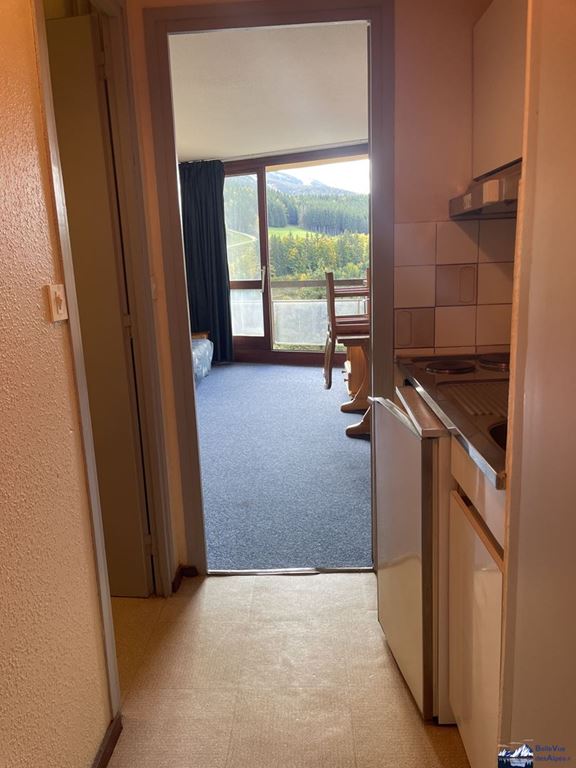 Appartement Studio VILLARD-DE-LANS (38250) BELLE VUE DES ALPES